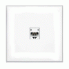 Lutron singolo socket RJ11 punto