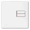 Lutron European Wallstation Replacement Faceplate 2 Button