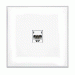 Lutron singolo socket RJ11 punto