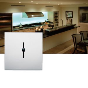 Lutron Lyneo Chroom Dimmer 